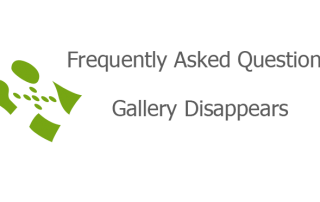 Gallery Disappears